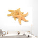 Sea-star Wall Decal