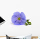Flower Flax Wall Decal