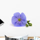 Flower Flax Wall Decal