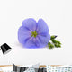 Flower Flax Wall Decal