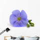 Flower Flax Wall Decal