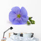 Flower Flax Wall Decal