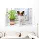 Dog and Flower Window Wall Decal