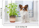 Dog and Flower Window Wall Decal