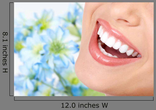 Smile and Healthy Teeth Blue Background Wall Decal