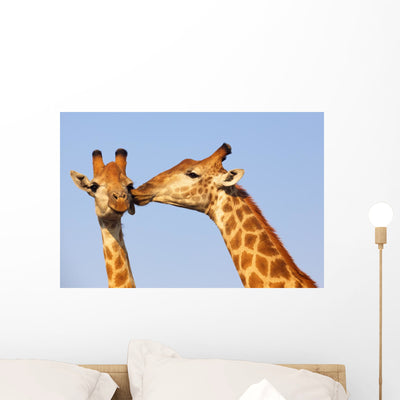 Giraffe Pair Wall Decal shown on a wall