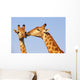 Giraffe Pair Wall Decal