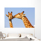 Giraffe Pair Wall Decal