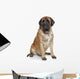 English Mastiff Dog Wall Decal