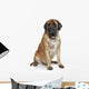 English Mastiff Dog Wall Decal