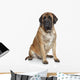 English Mastiff Dog Wall Decal