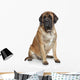 English Mastiff Dog Wall Decal