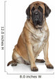English Mastiff Dog Wall Decal