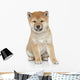 Shiba Inu Puppy Portrait Wall Decal