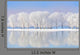 Winter Trees Covered with Wall Decal