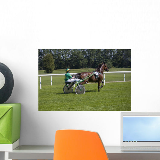 Track Racing Buggy Wall Decal