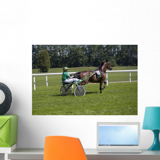 Track Racing Buggy Wall Decal
