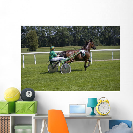 Track Racing Buggy Wall Decal