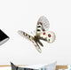 Small Apollo Flight Parnassius Wall Decal