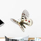 Small Apollo Flight Parnassius Wall Decal