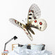 Small Apollo Flight Parnassius Wall Decal