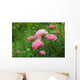 Pink Peony Bush Wall Decal