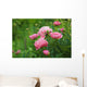 Pink Peony Bush Wall Decal