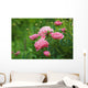 Pink Peony Bush Wall Decal
