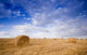 Hay Bale Landscape Wall Decal