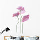 Three Poppy Flowers Wall Decal