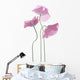 Three Poppy Flowers Wall Decal