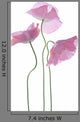 Three Poppy Flowers Wall Decal