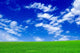 Green Field and Blue Wall Decal