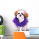 Sweet Looking Shih Tzu Wall Decal