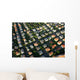 Dresden Striesen Wall Decal