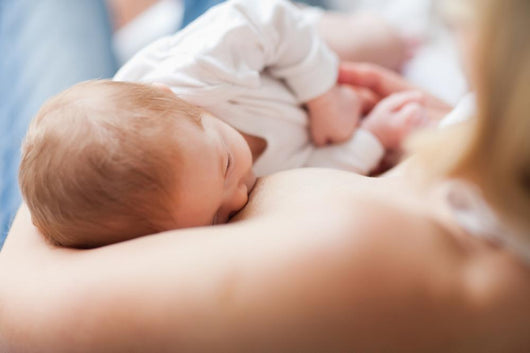 Newborn Getting Suckled Wall Decal