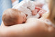 Newborn Getting Suckled Wall Decal