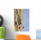 Scaling Mountain Side Wall Decal