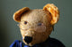 Bear with Glasses Wall Decal