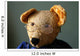 Bear with Glasses Wall Decal