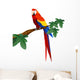 Detailed Macaw Bird Illustration Wall Decal