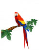 Detailed Macaw Bird Illustration Wall Decal