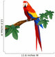 Detailed Macaw Bird Illustration Wall Decal