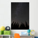 Silhouette Trees against Night Wall Decal