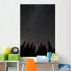 Silhouette Trees against Night Wall Decal