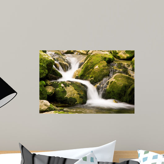 Creek Wall Decal
