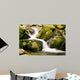 Creek Wall Decal
