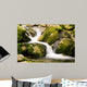 Creek Wall Decal