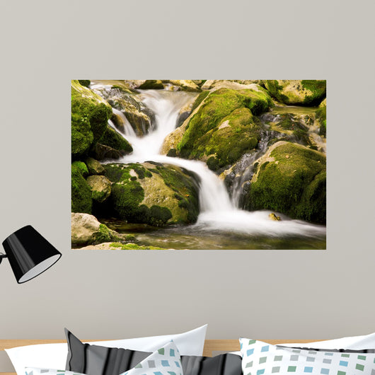 Creek Wall Decal