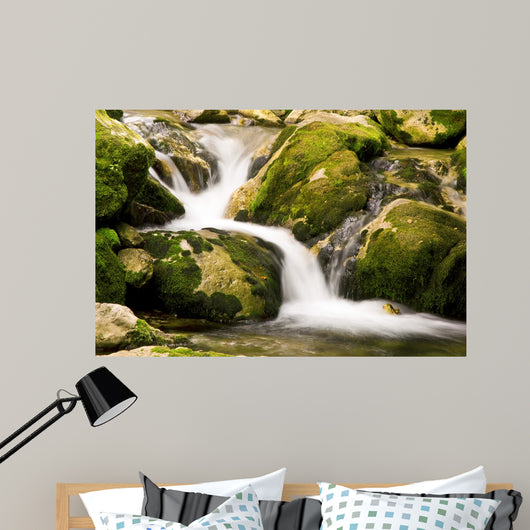 Creek Wall Decal
